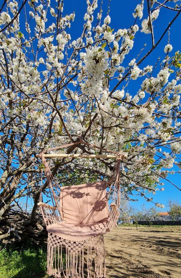Il Violino Degli Dei Holiday House Agerola Dış mekan fotoğraf